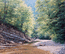 Река Папайка  2003 г.       х.м.	75х90